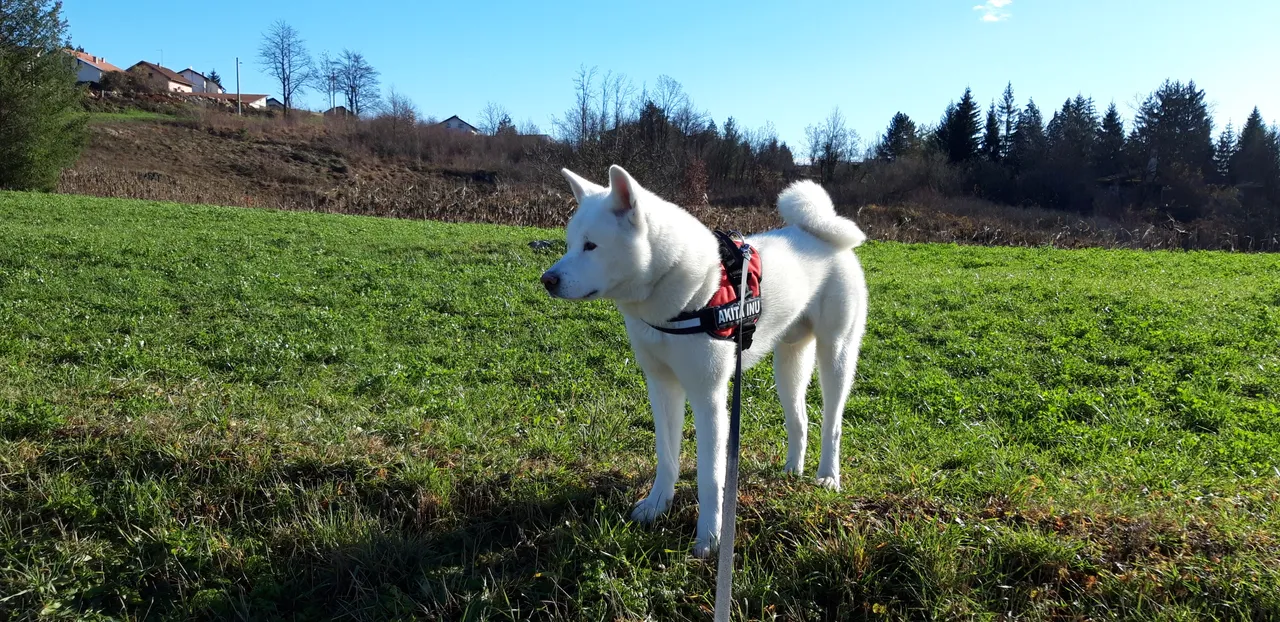 20181209_105459.jpg