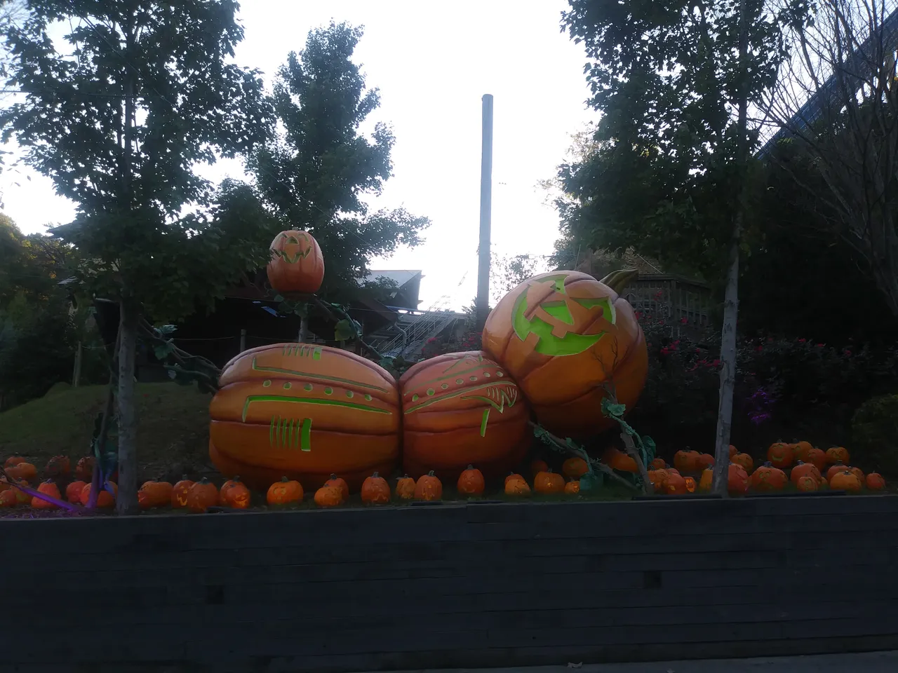 20181011_183559.jpg