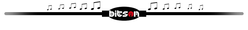 BitsonSeparator.png