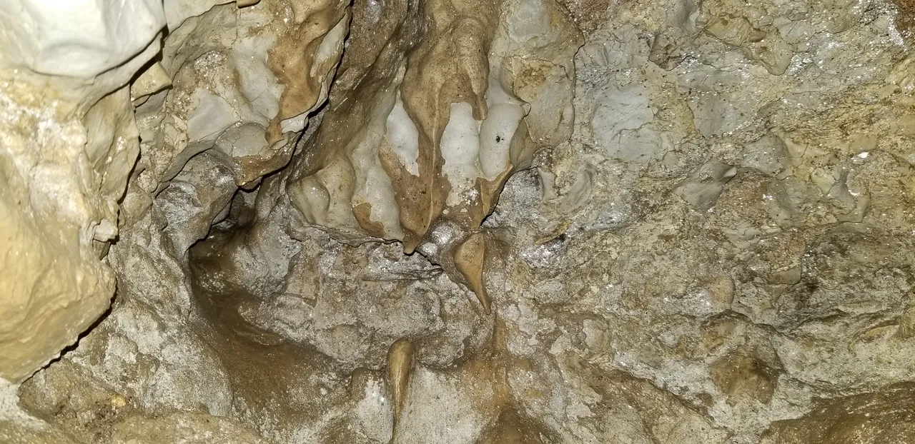 20190216_133359.jpg