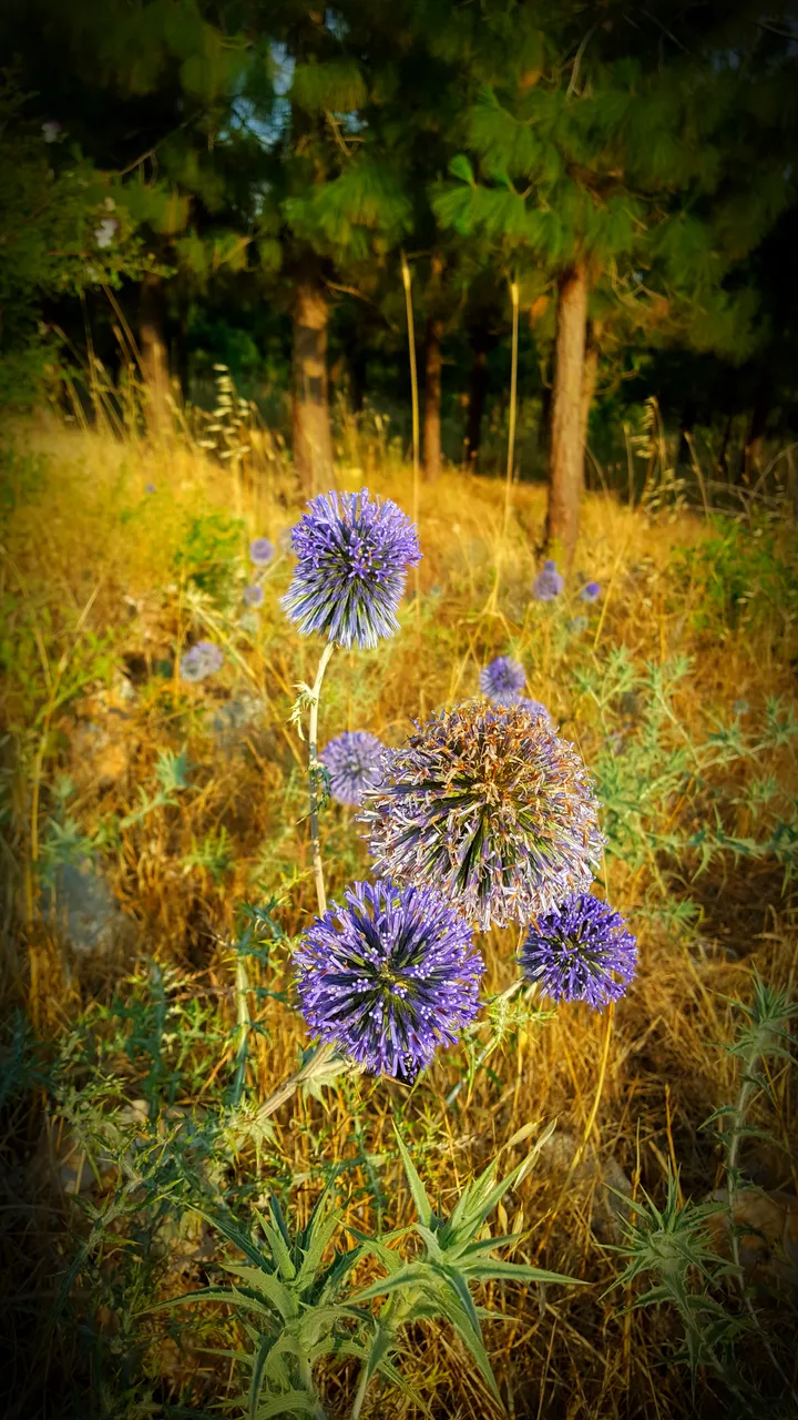 20180614_002316.jpg
