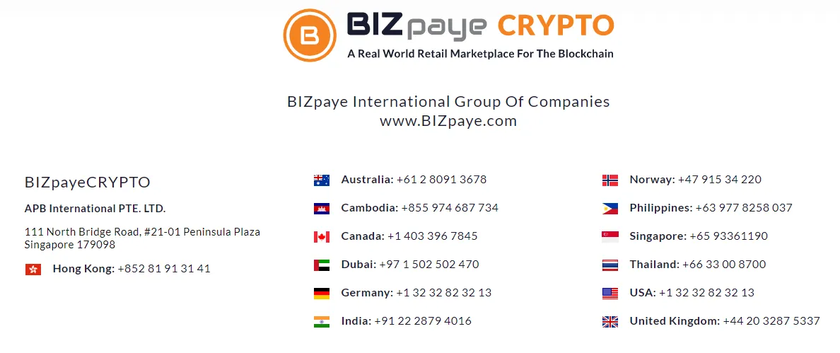 BIZpaye Group.png