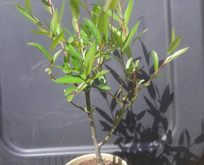 20180505_140033.jpg