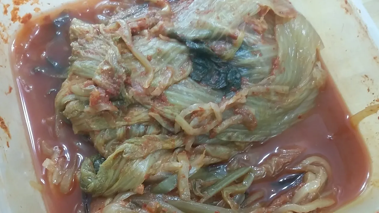 20190216_094920.jpg