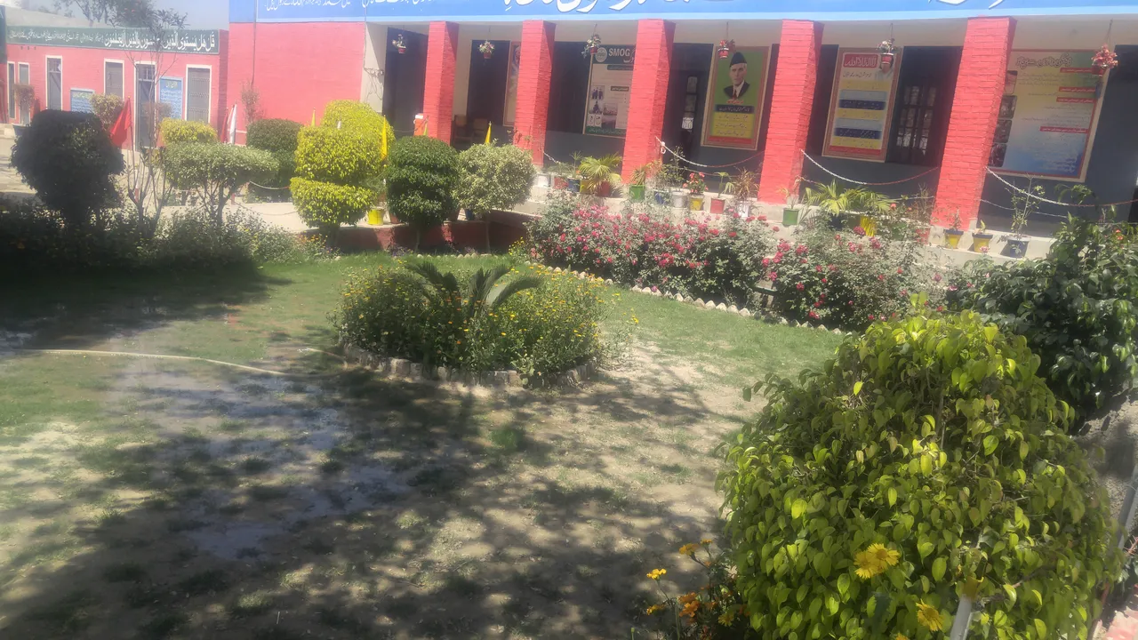 20190402_112318.jpg