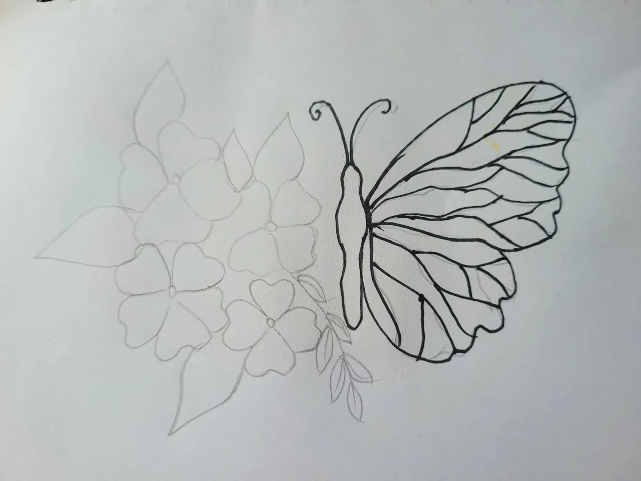 20250806_125000.jpg
