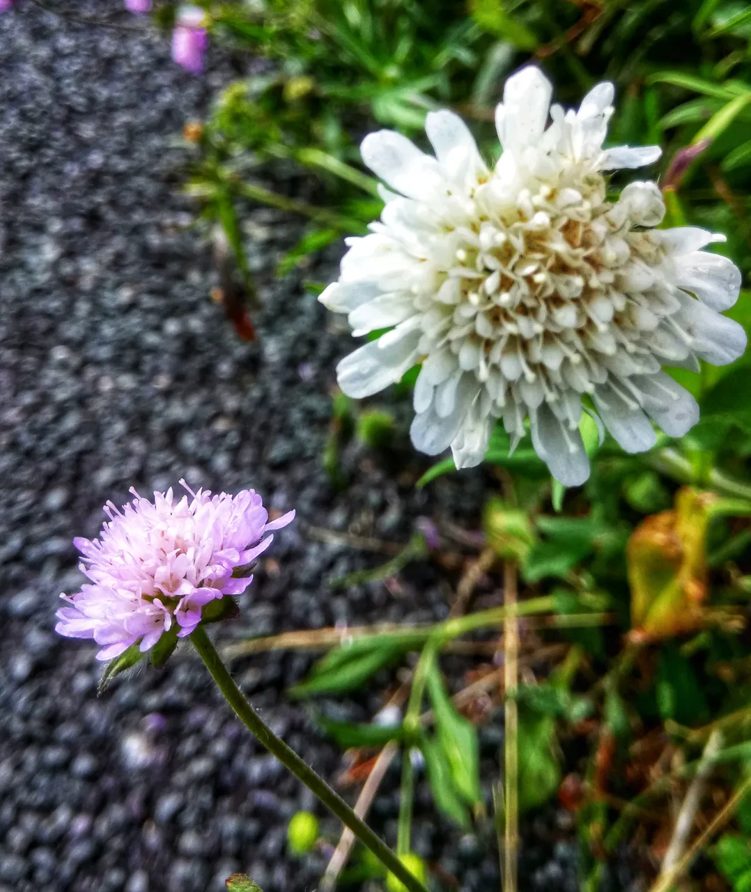 DSC_1382-01-01.jpeg