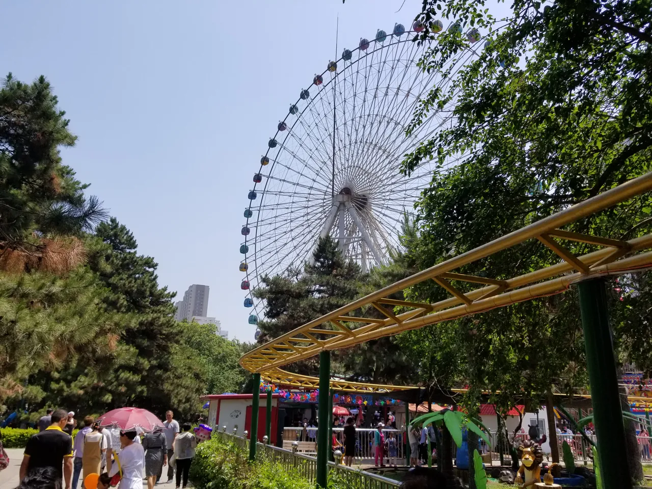 20180601_112916.jpg