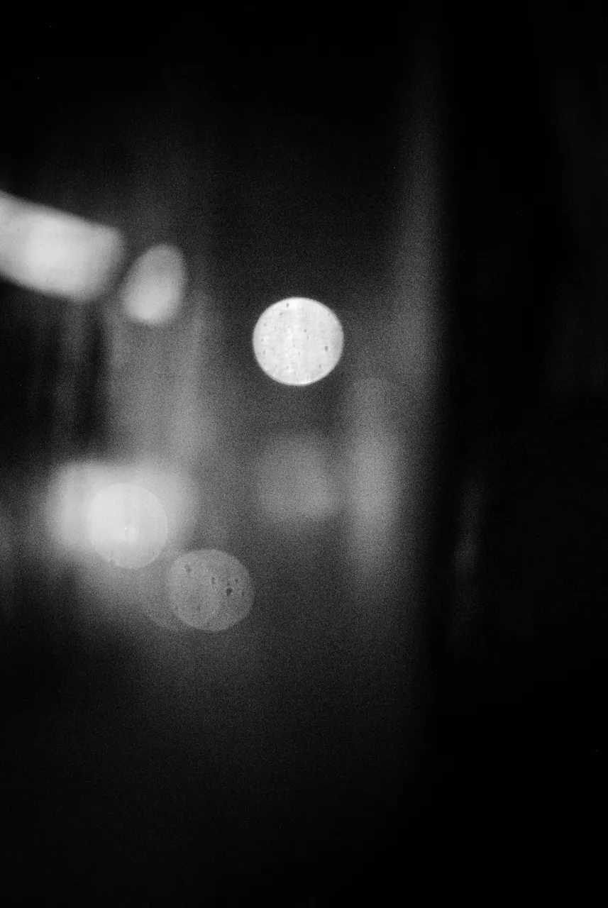 DSC_0264-01-01.jpeg