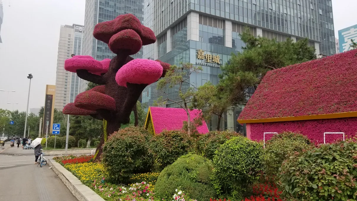 20190715_125015.jpg