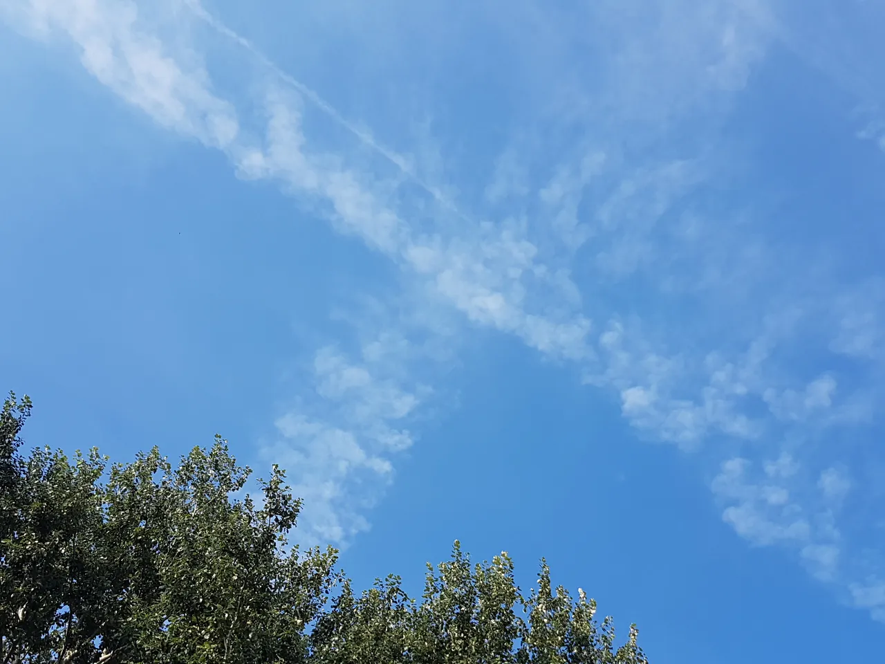 20180809_084222.jpg