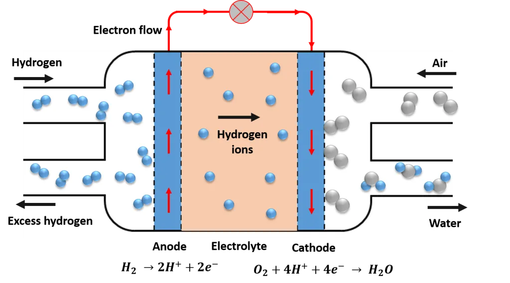 pila comb 1.png