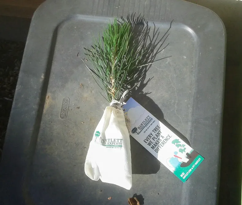20190302_101157.jpg