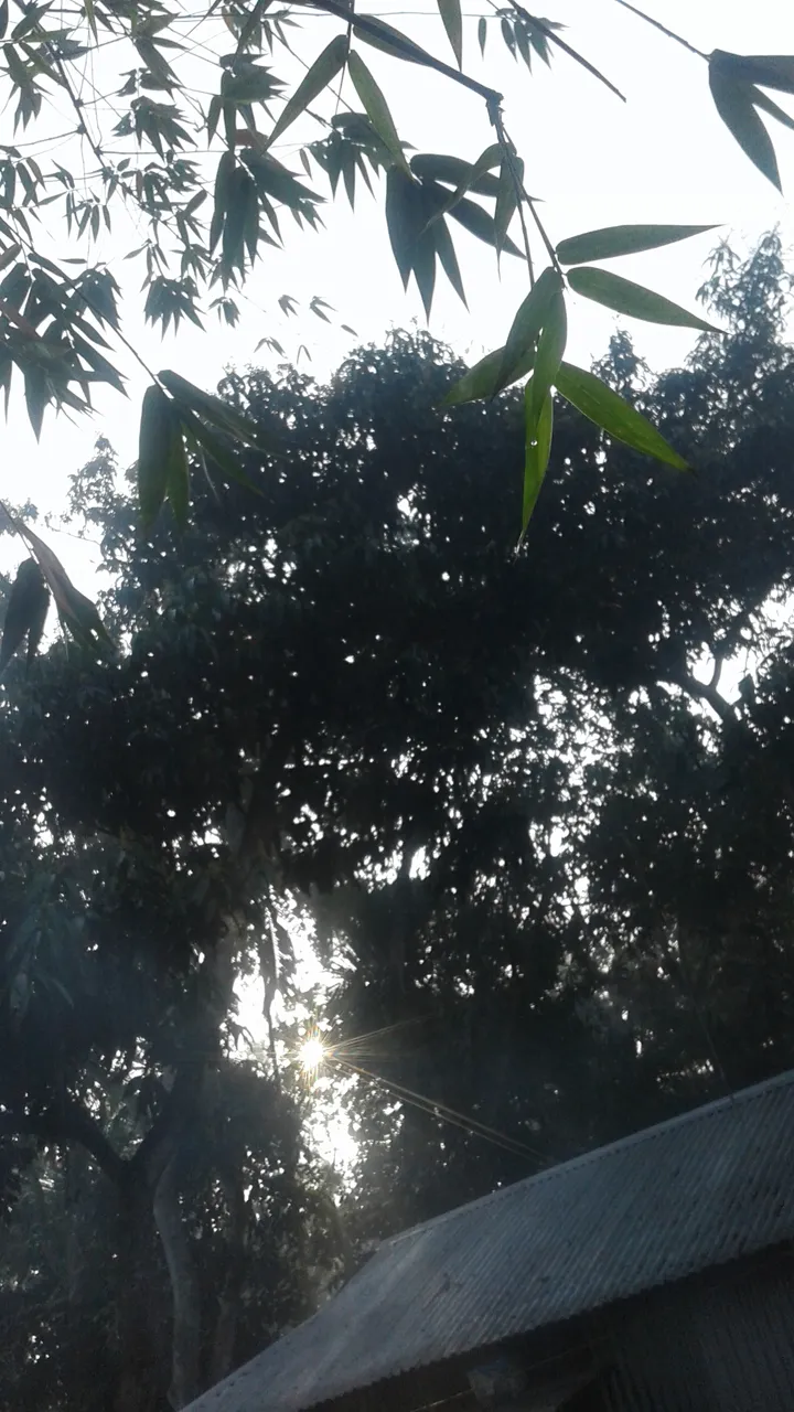20190212_080341.jpg