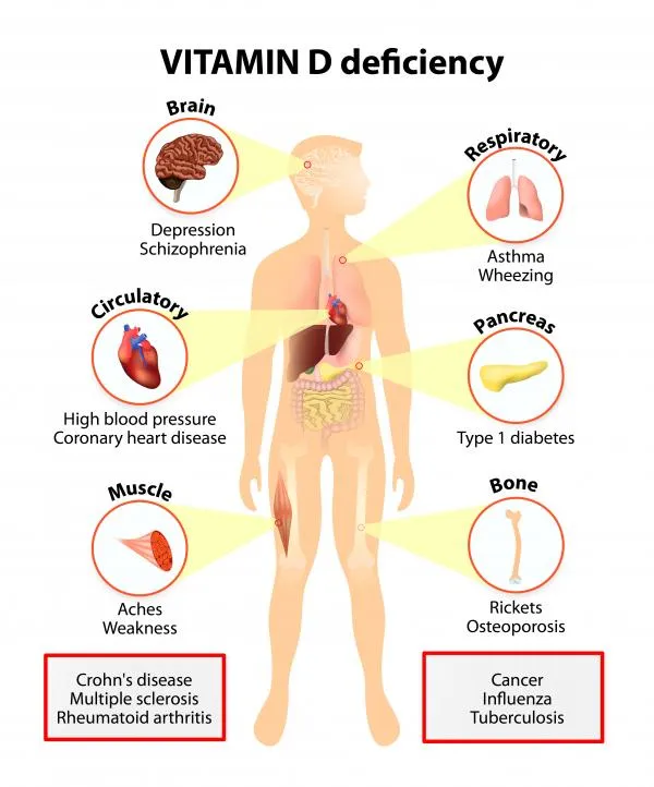 Vitamin D 3.jpg