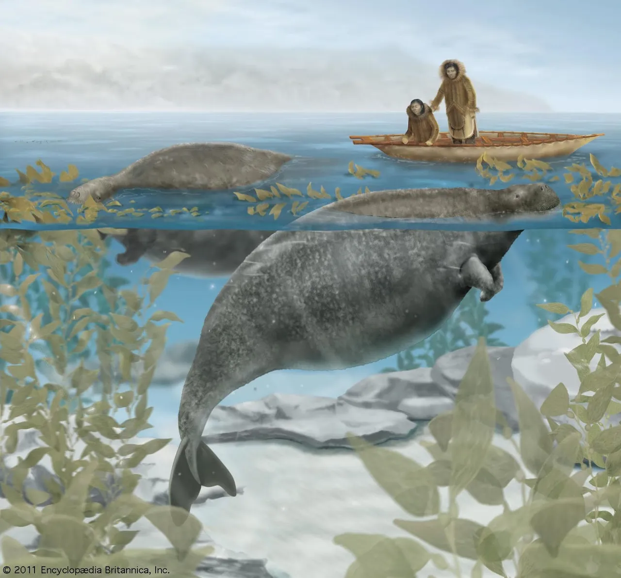 extinct-sea-cow.jpg
