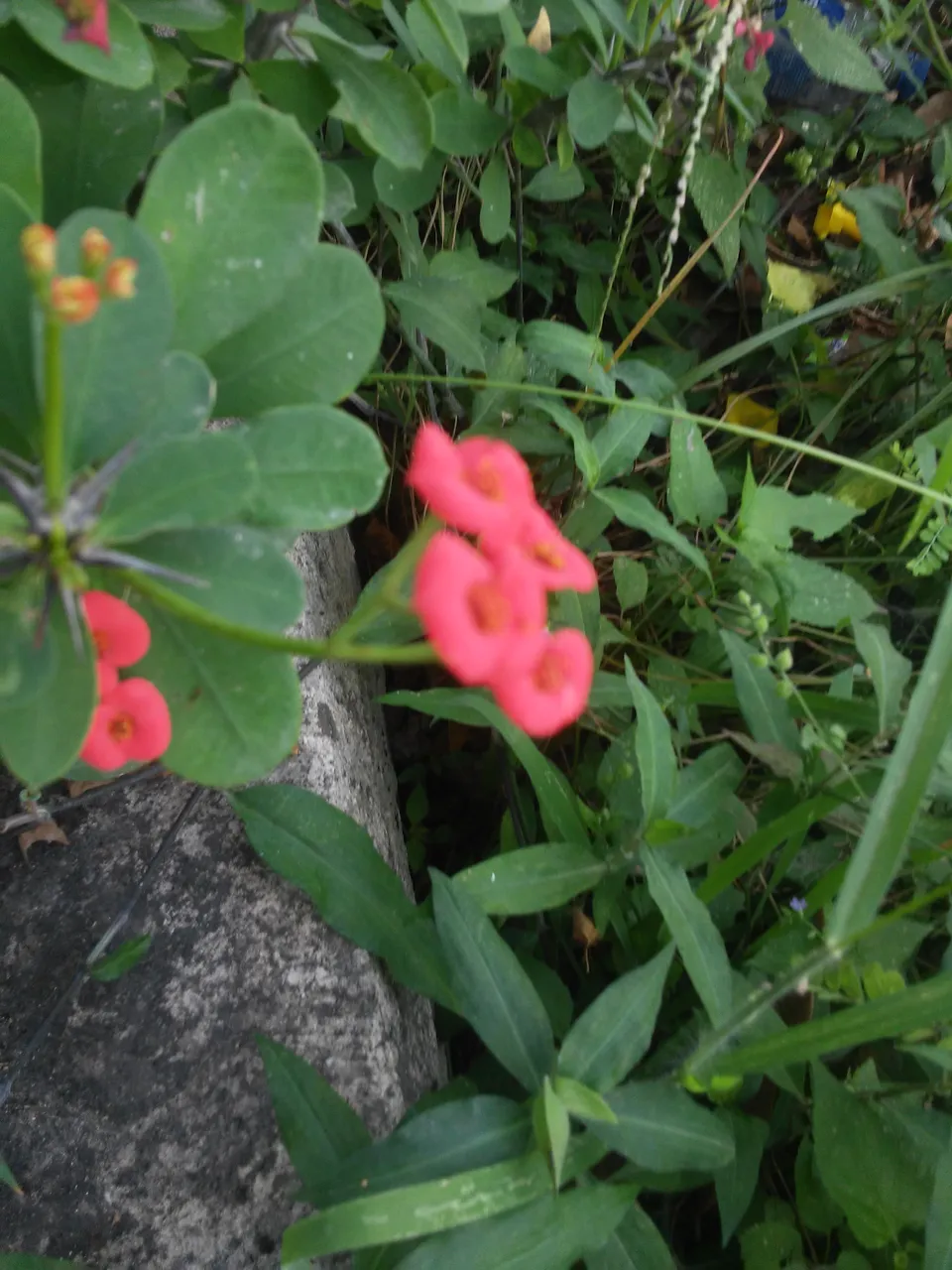 20181209_102735.jpg