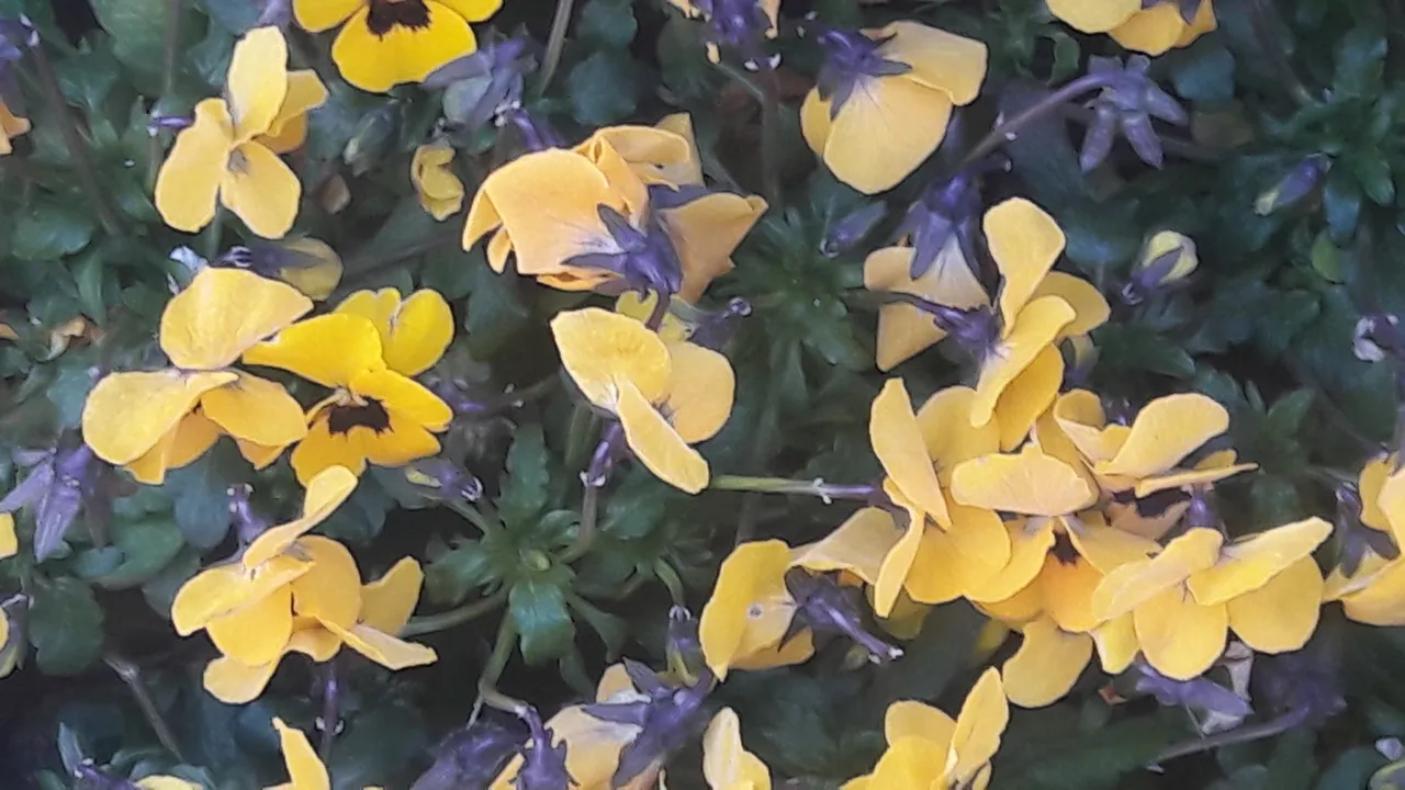 20190403_070649.jpg