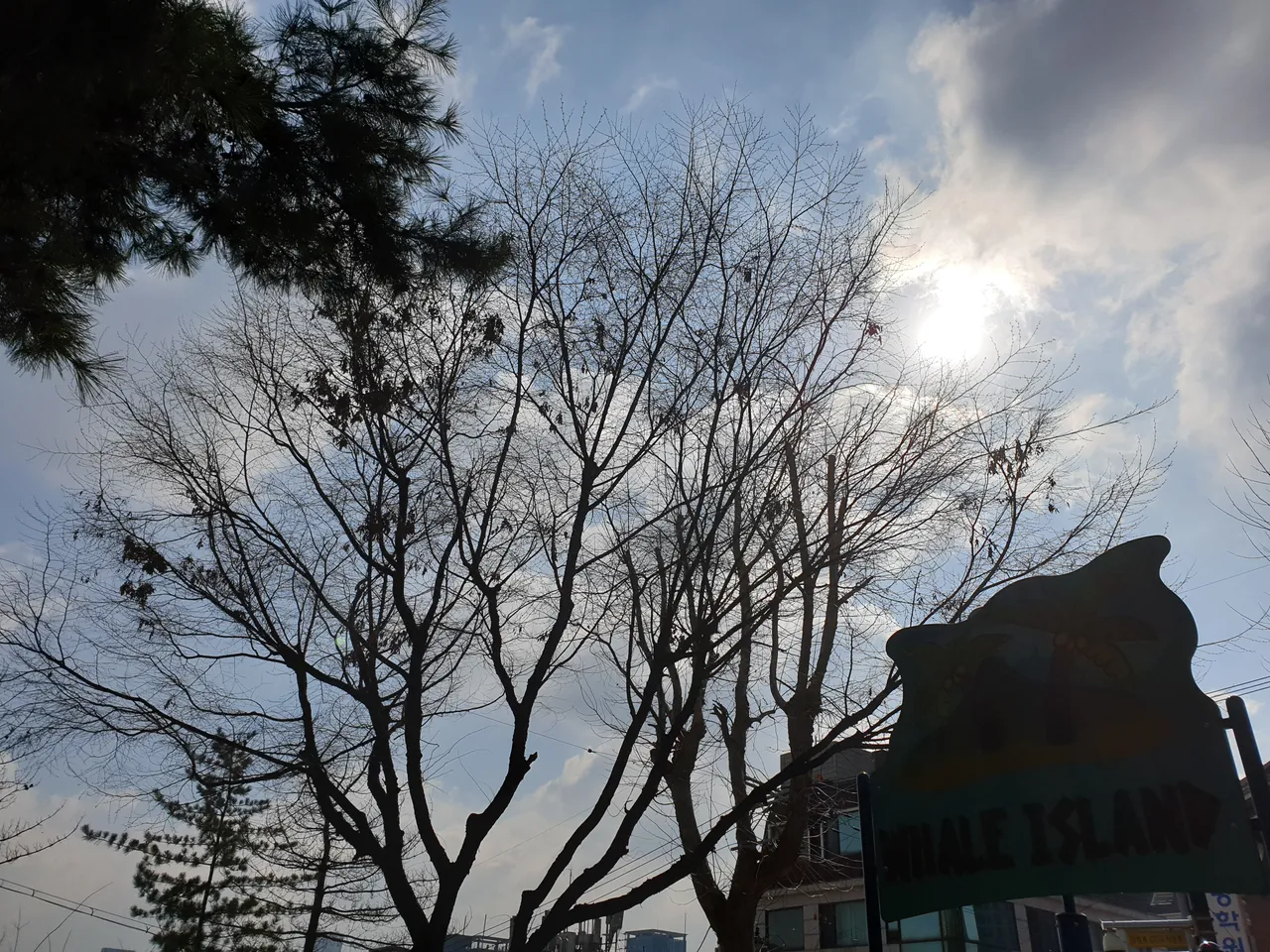 20190317_101143.jpg