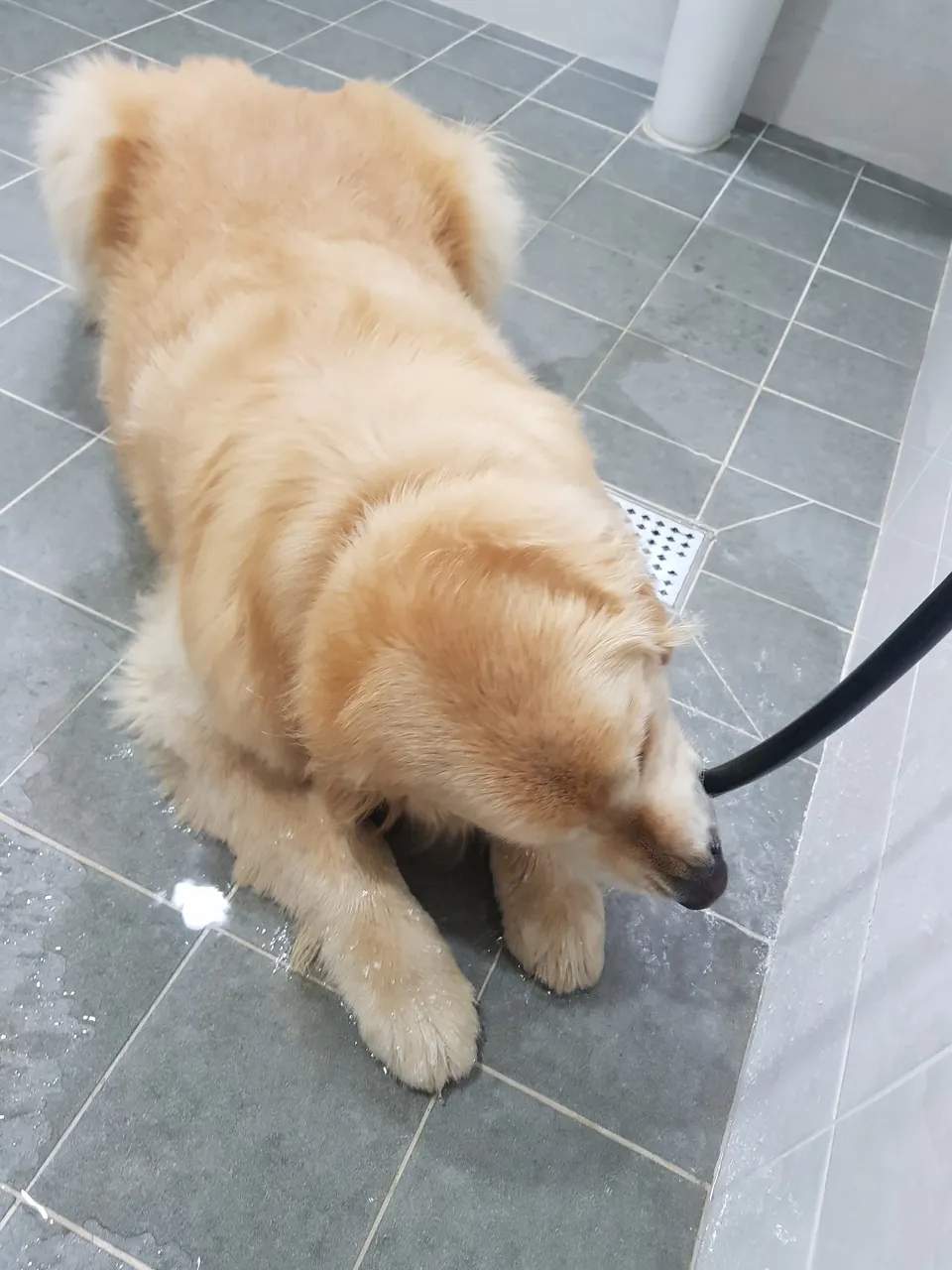 20180605_150358.jpg