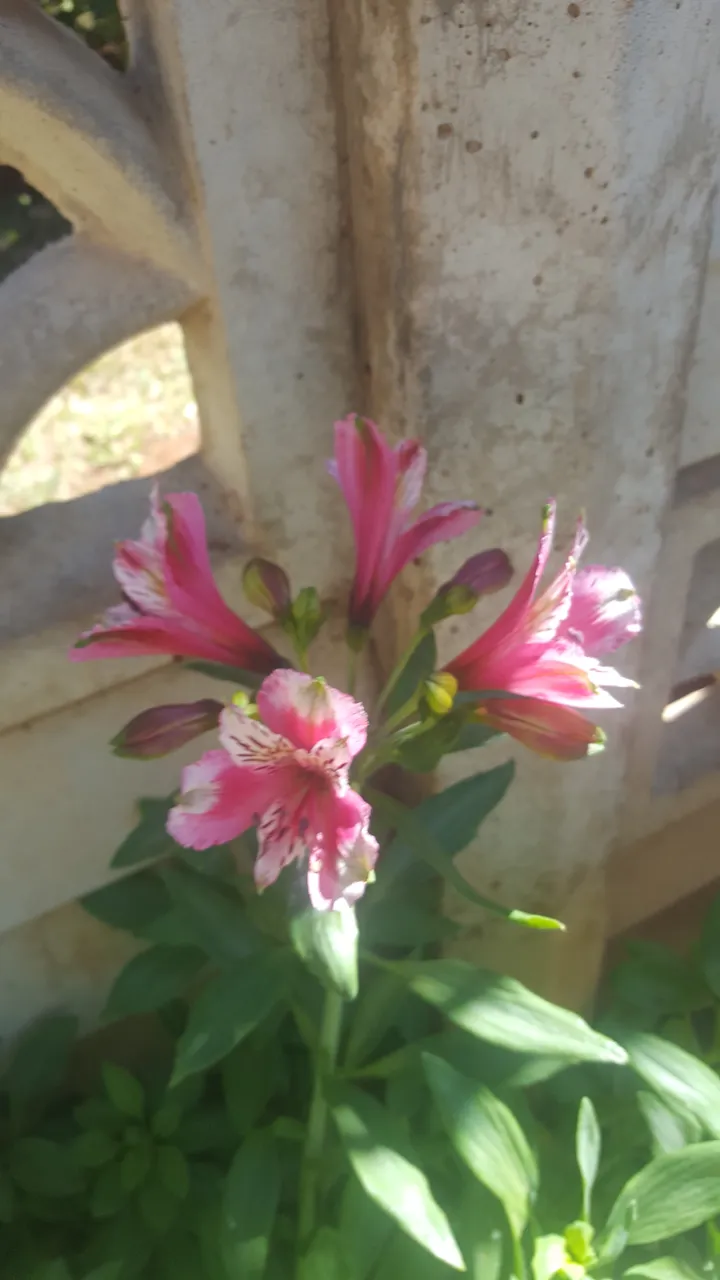 20180909_125722.jpg