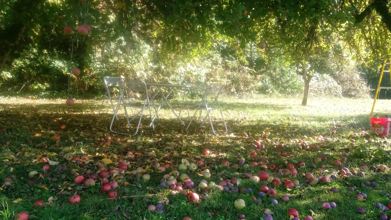 20181010_150534.jpg