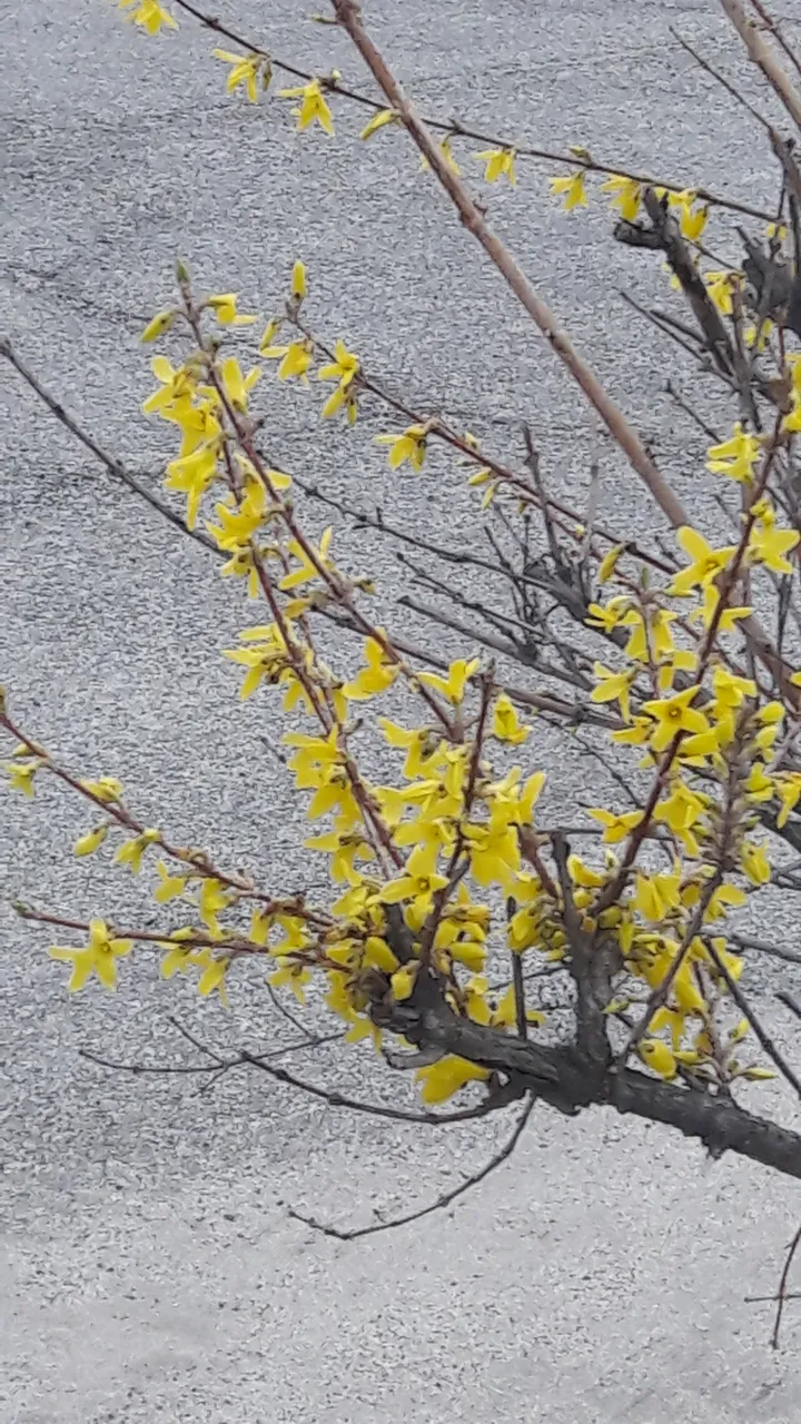 20190406_071856.jpg