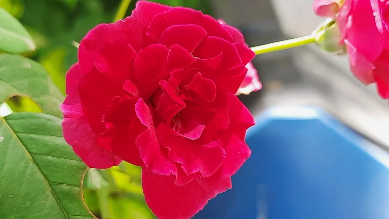 20220329_133406.jpg