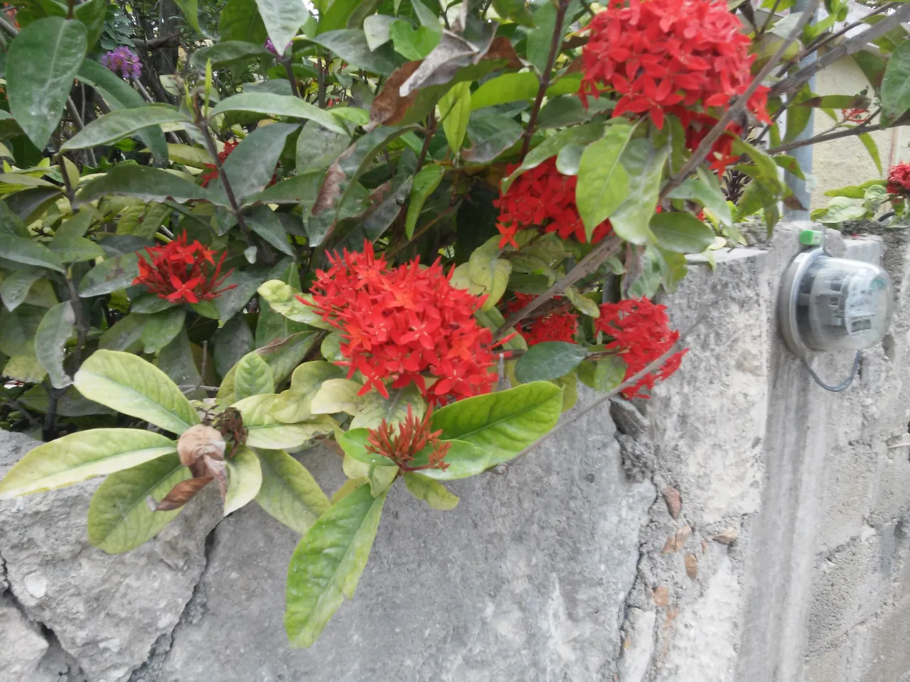 20180521_120130.jpg
