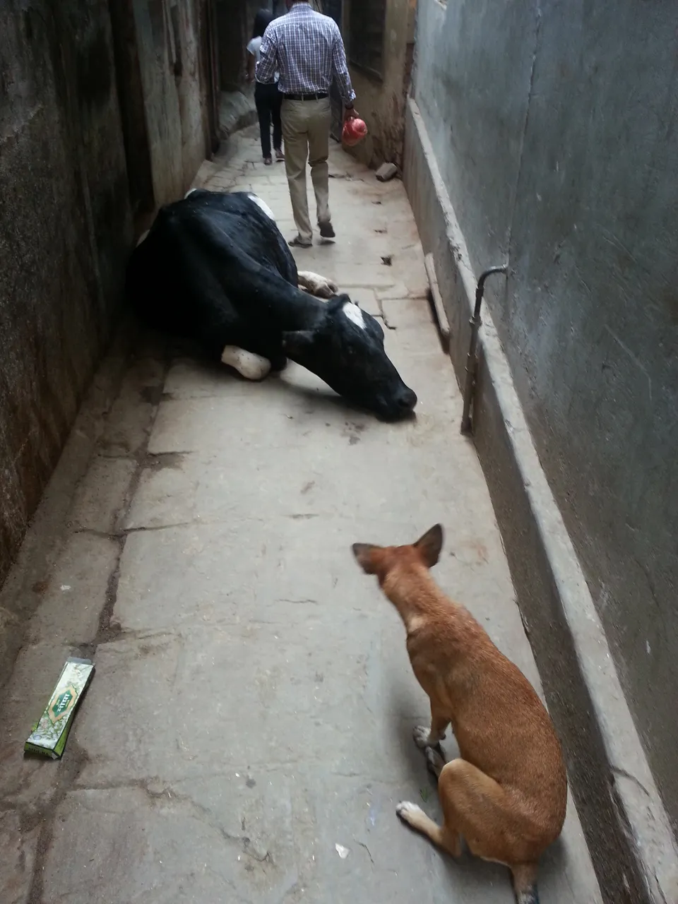20141030_105401.jpg