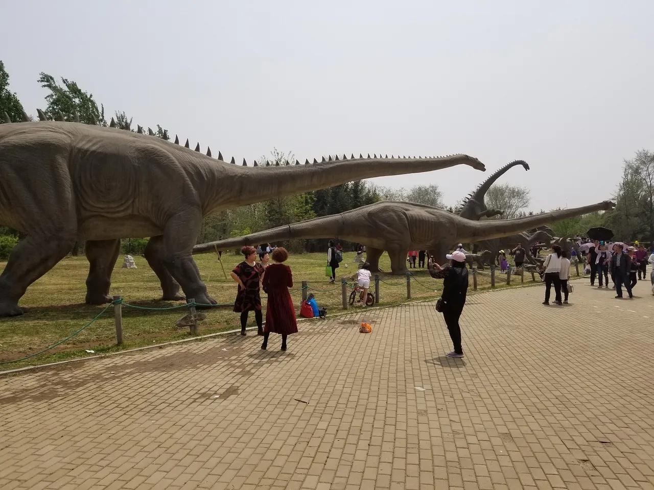 20180513_115036.jpg