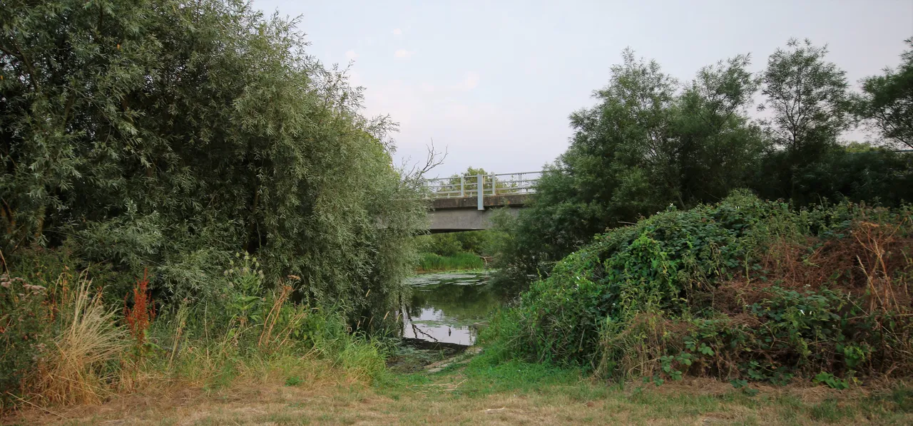 earith bridge.jpg