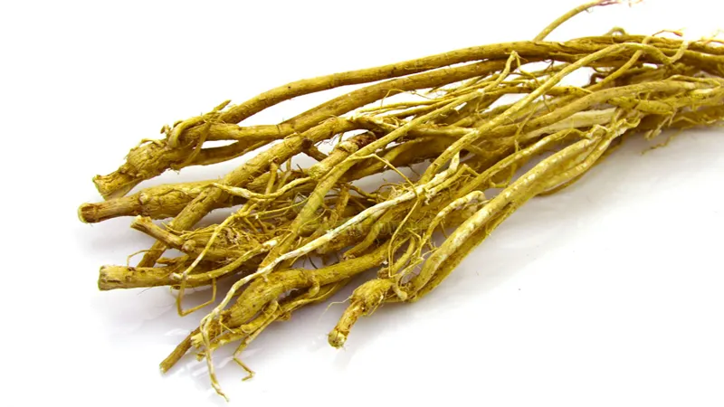 Astragalus-root.jpg