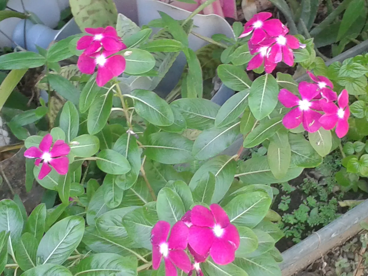 20191109_145625.jpg