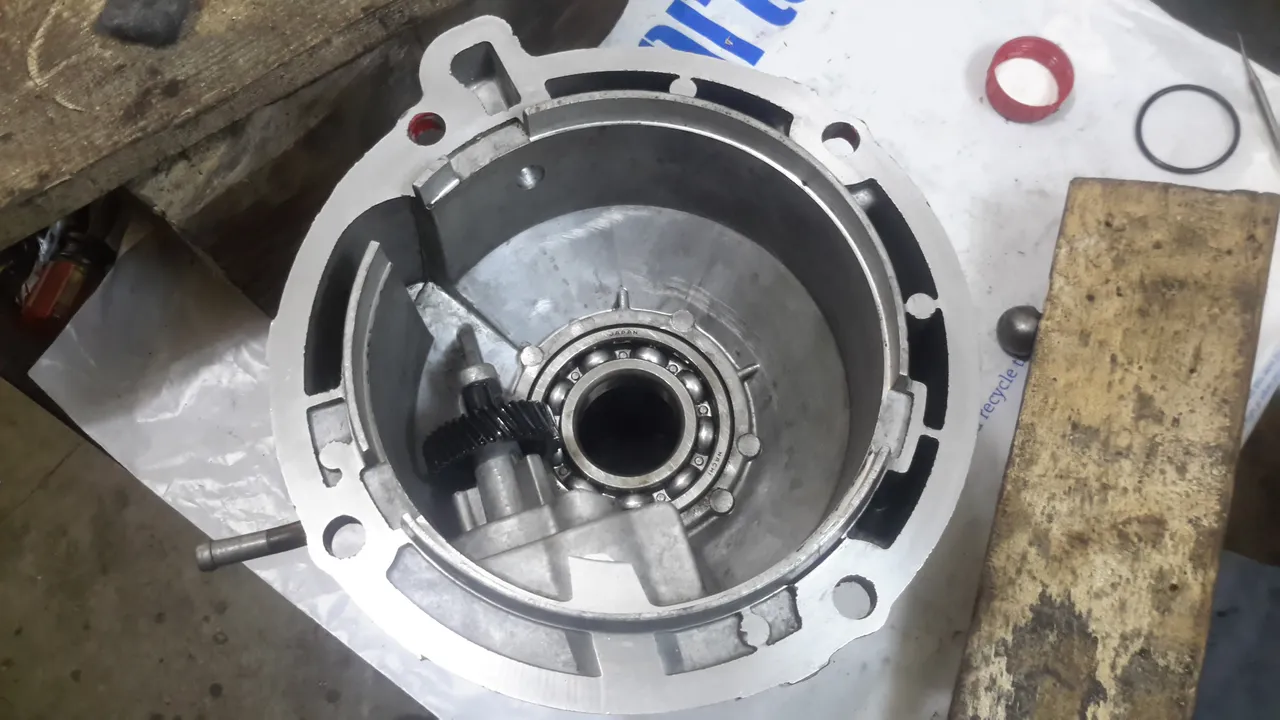 20190215_162955.jpg