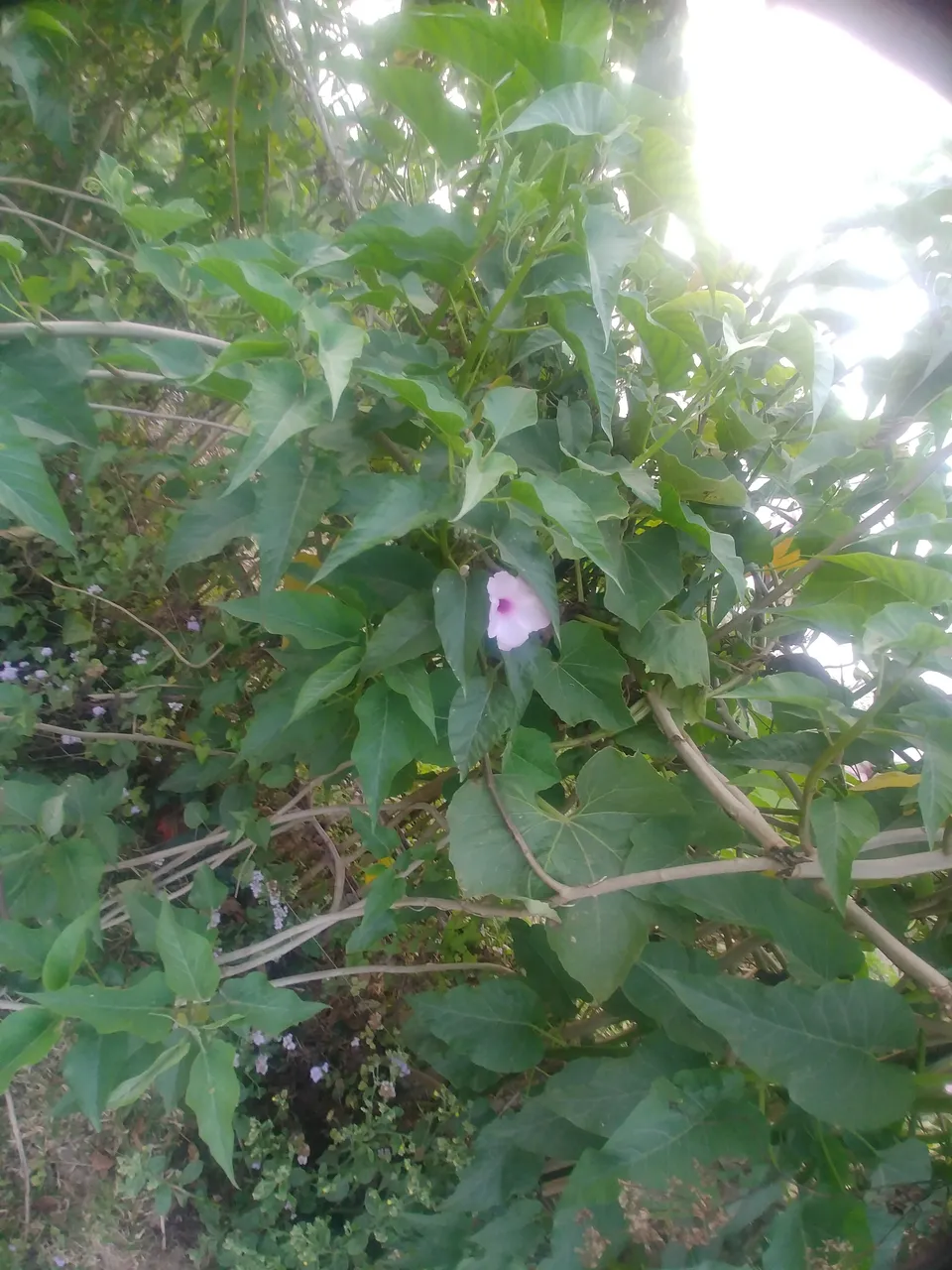20190220_171209.jpg