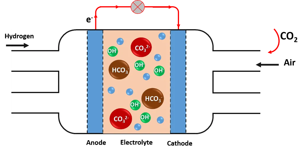 pila comb 2.png