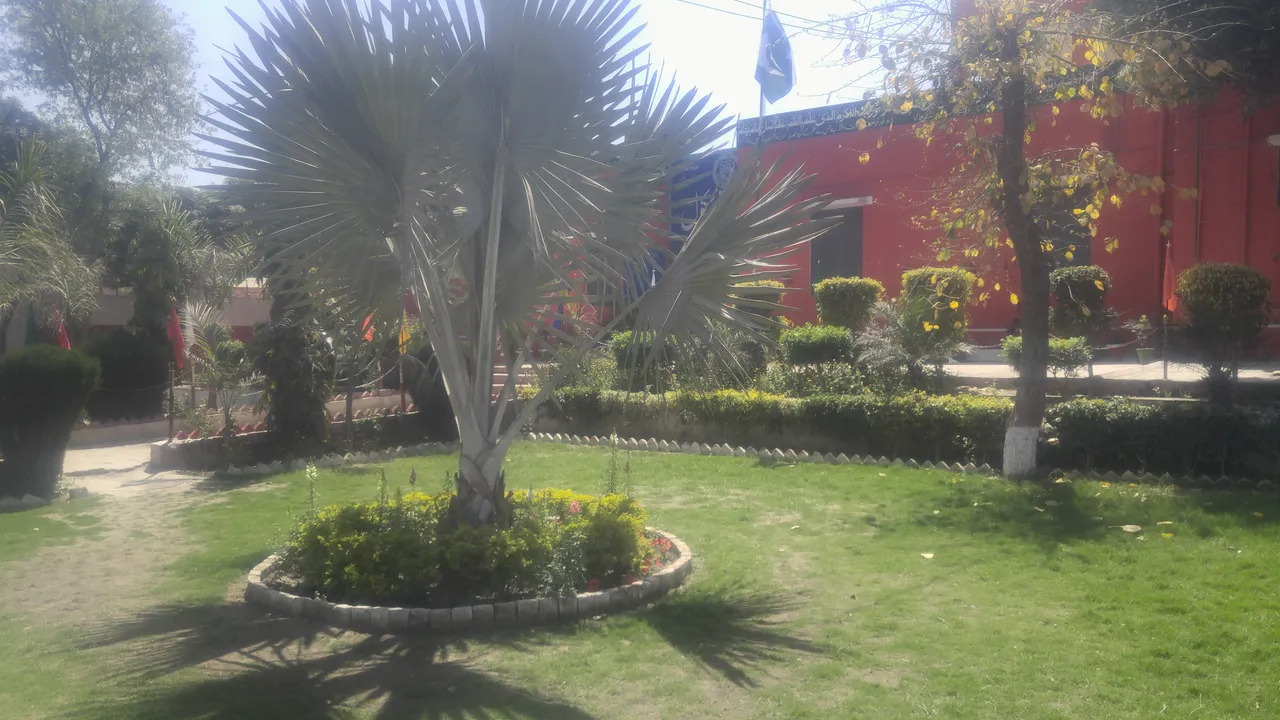 20190402_112029.jpg