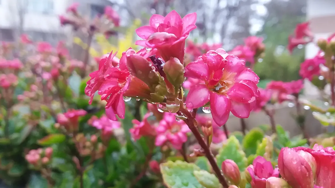 20190401_184257.jpg