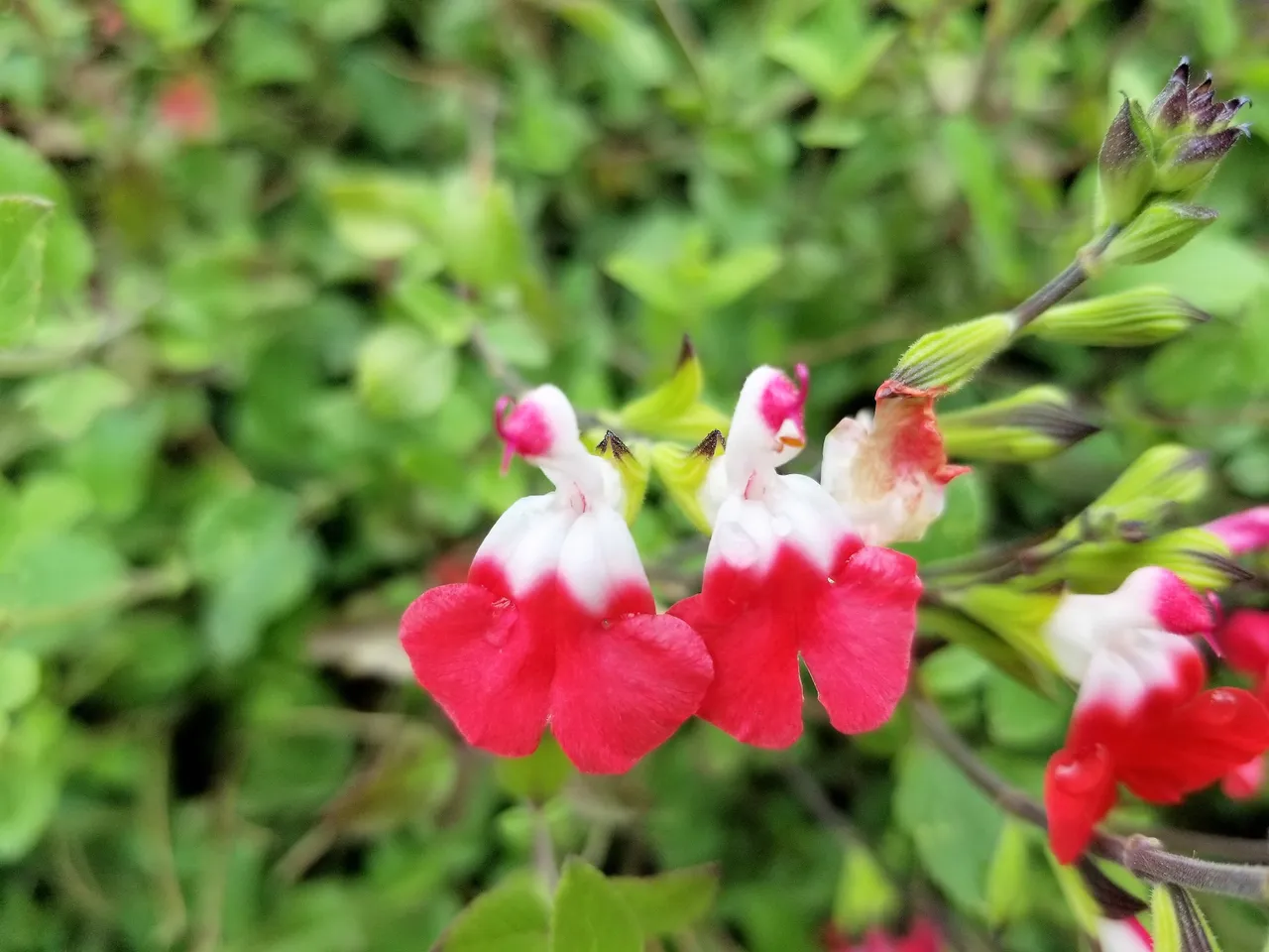 20180414_173058.jpg