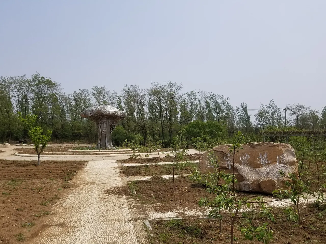 20180513_114446.jpg