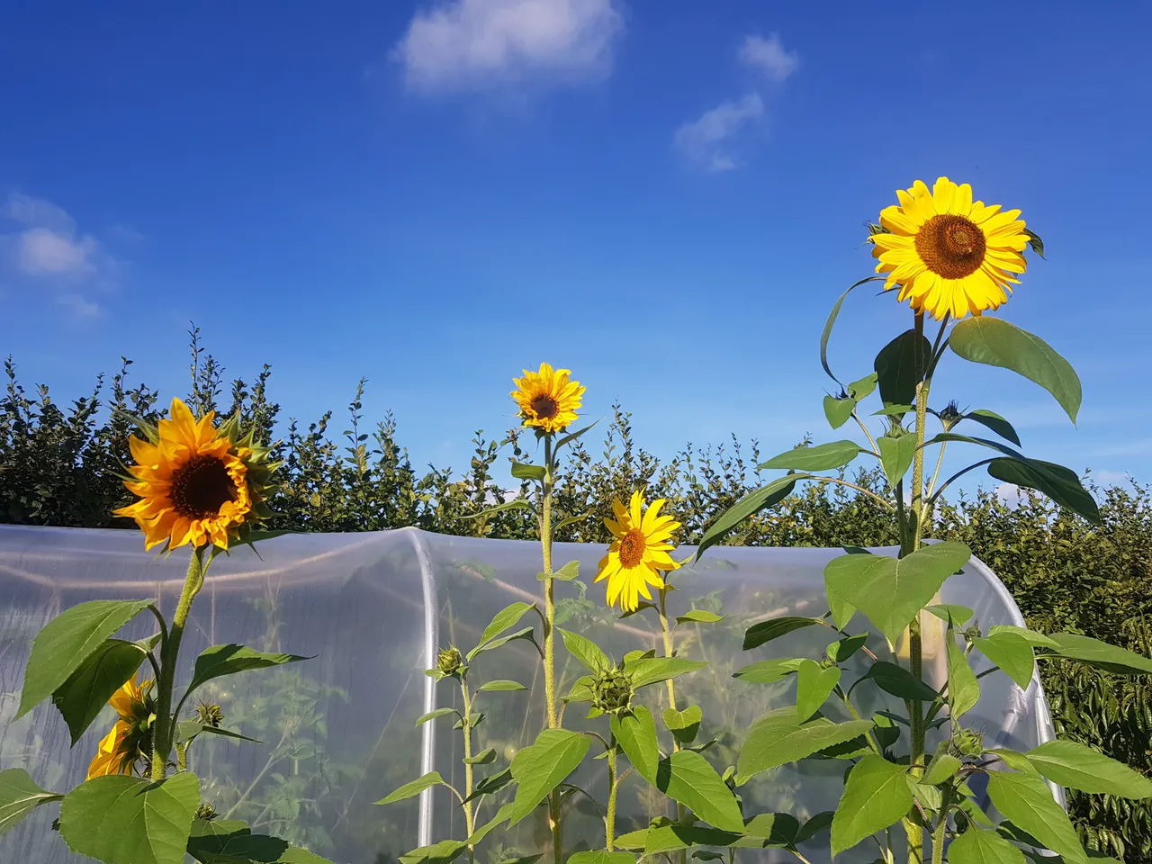 20180911_100617.jpg