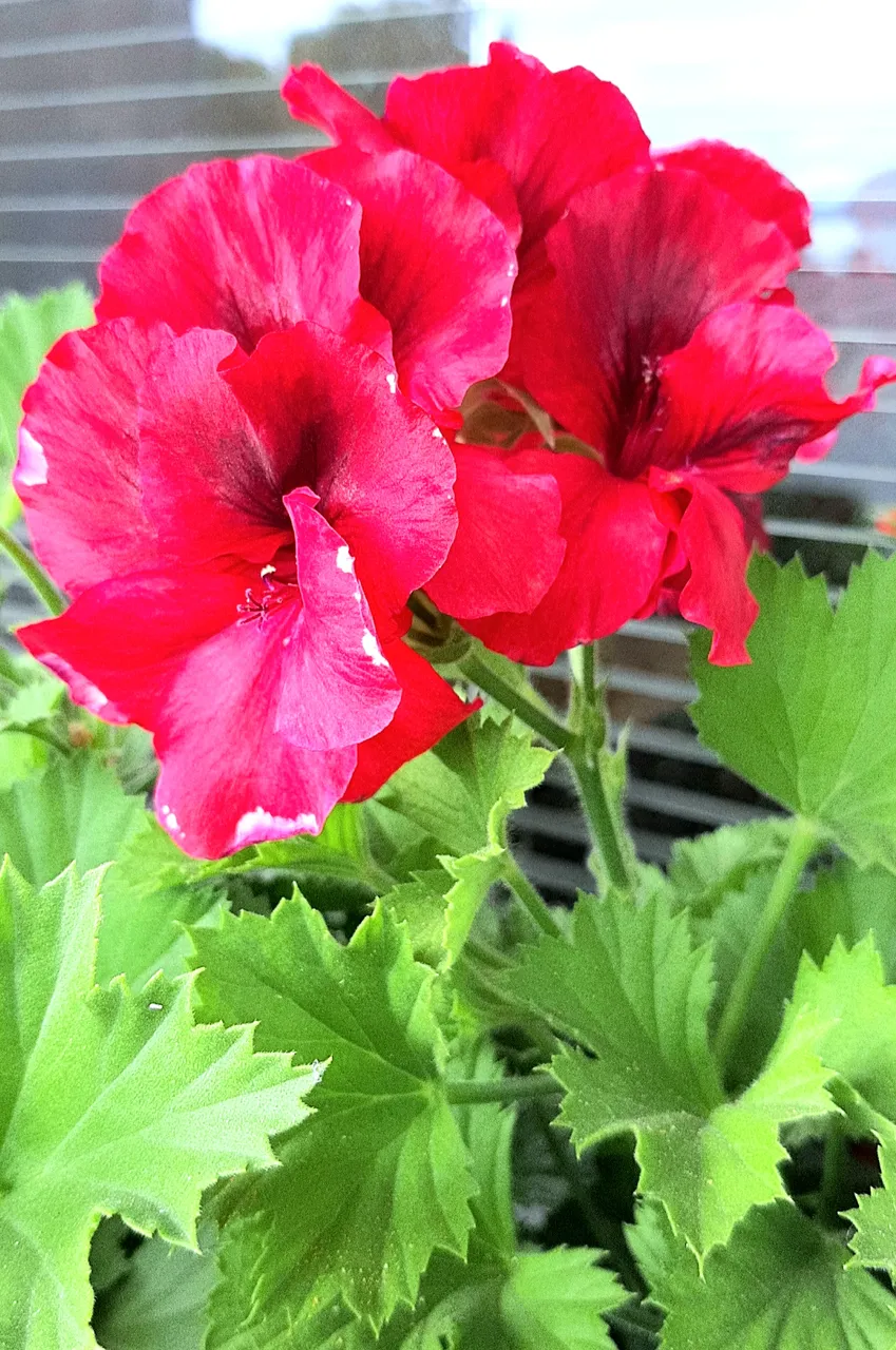 20190930_121827.jpg