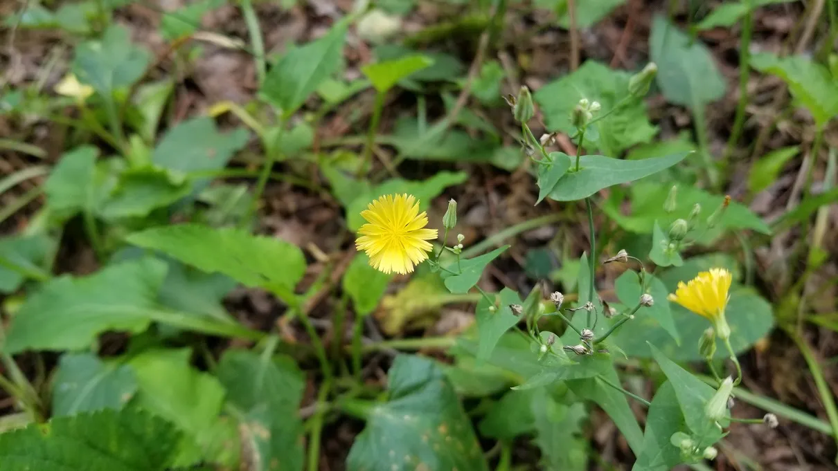20180630_113019.jpg