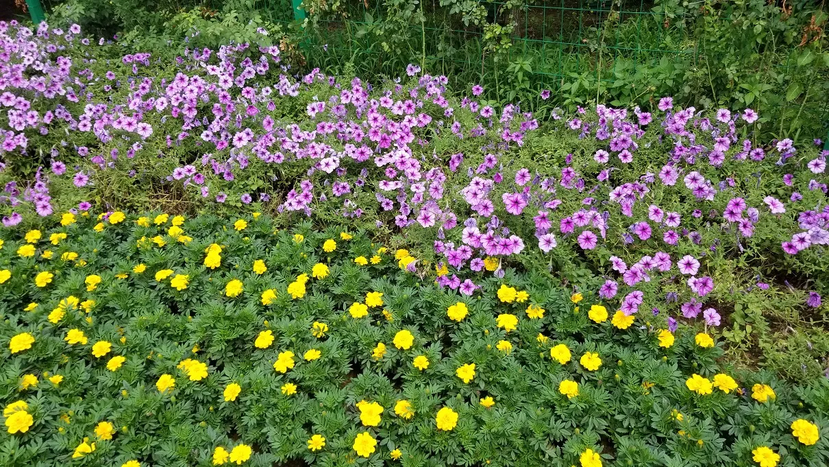 20190715_124919.jpg