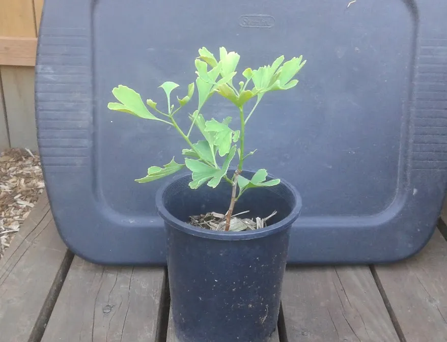 20180623_185902.jpg