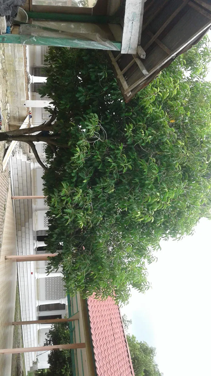 20181119_135952.jpg