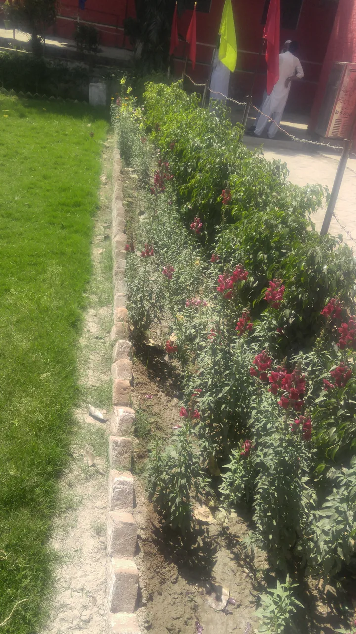 20190402_112019.jpg
