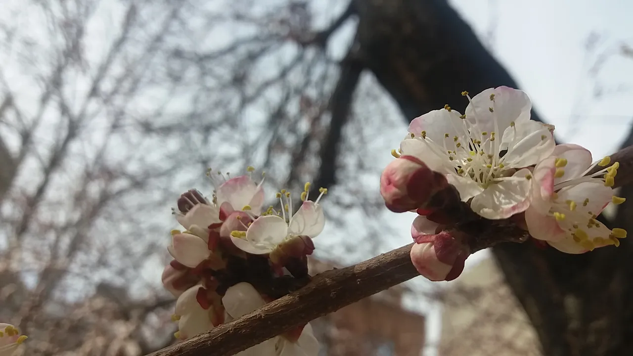 20190314_094920.jpg