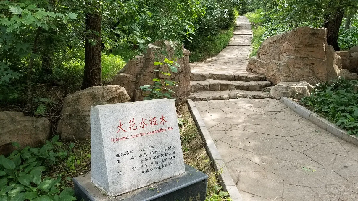 20180630_114350.jpg